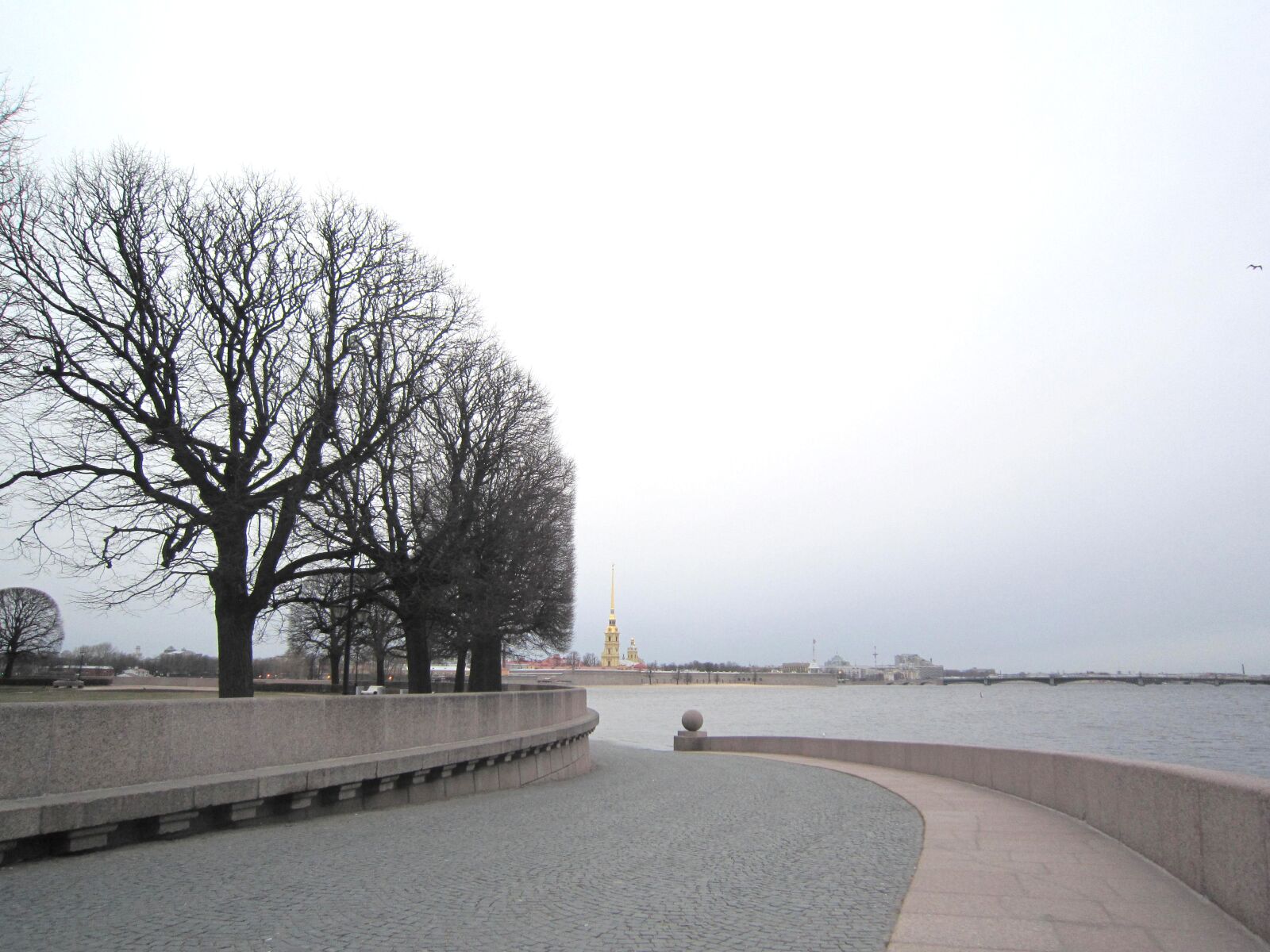 Canon PowerShot SD3500 IS (IXUS 210 / IXY 10S) sample photo. Coronavirus, covid - 19, russia photography