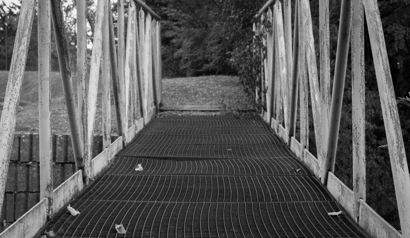 Canon EOS 700D (EOS Rebel T5i / EOS Kiss X7i) + Canon EF 50mm F1.8 STM sample photo. Bridge, path, railing photography