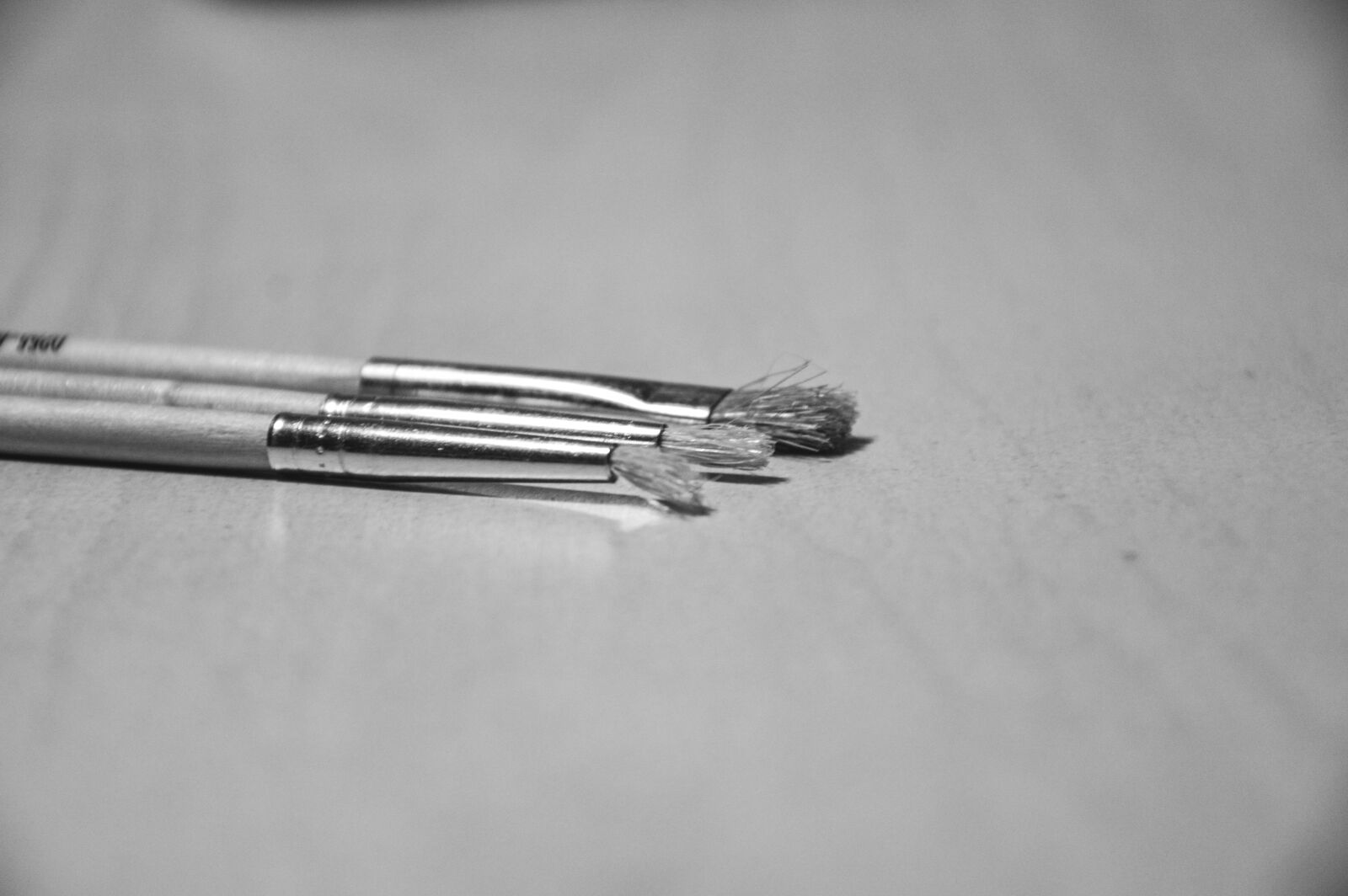 Nikon D3200 sample photo