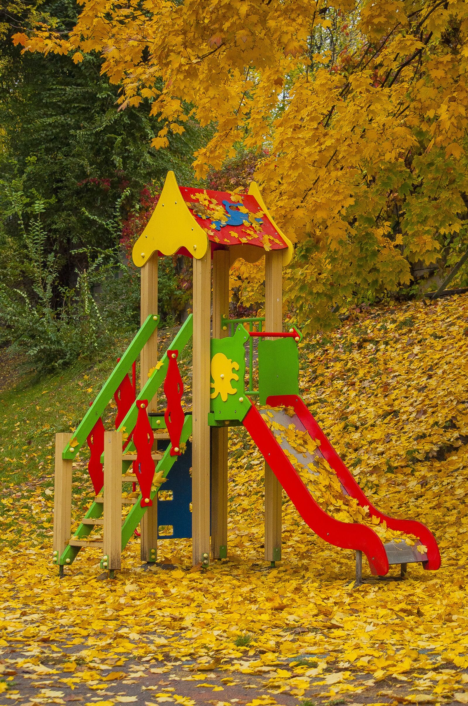 Nikon D90 sample photo. Playground, autumn, leaves photography