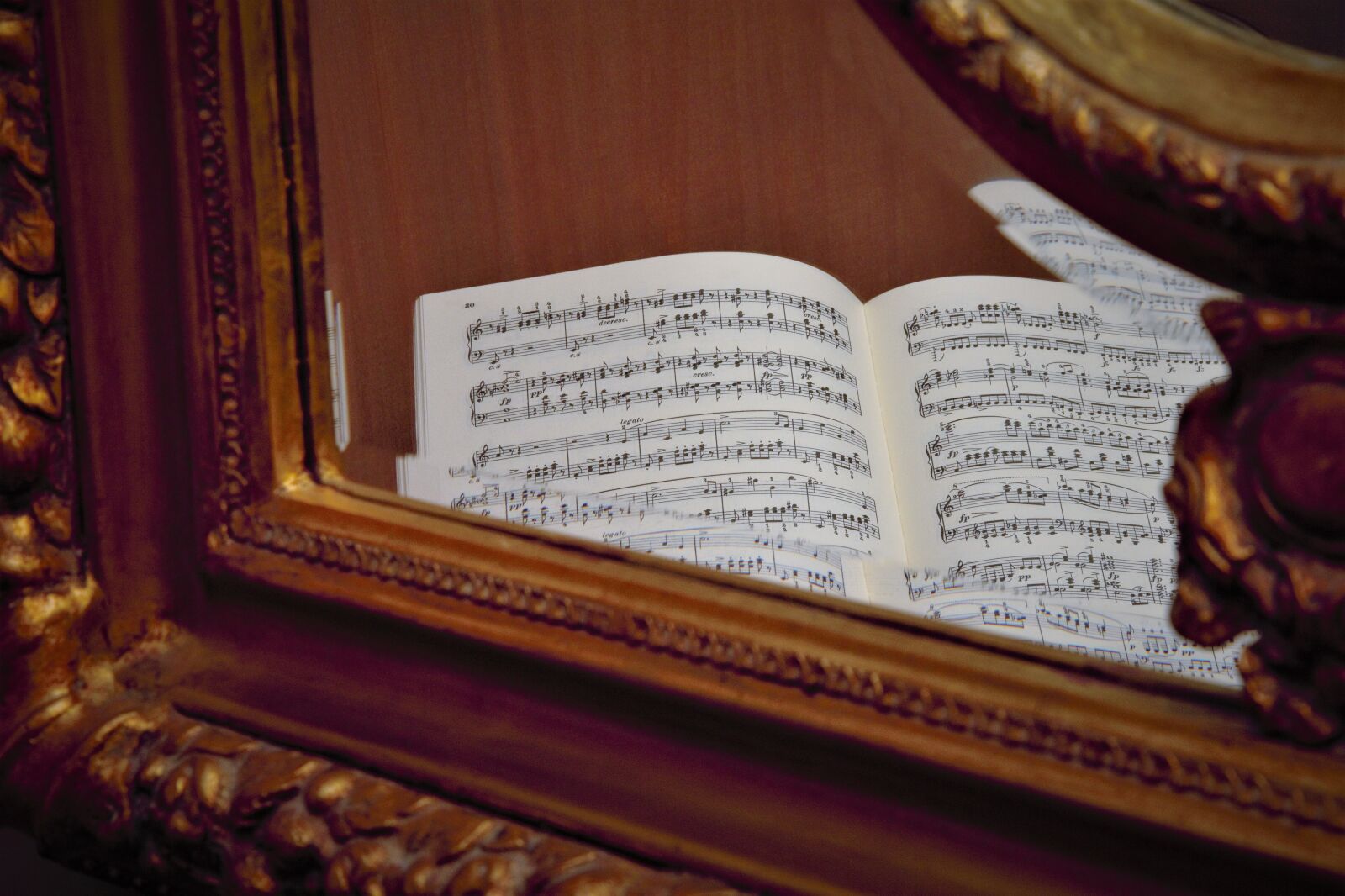 Canon EOS 600D (Rebel EOS T3i / EOS Kiss X5) sample photo. Lyrics, mirror, old fashioned photography
