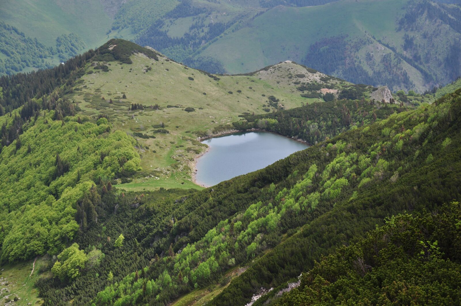 Nikon D90 sample photo. Nature, lake, high photography
