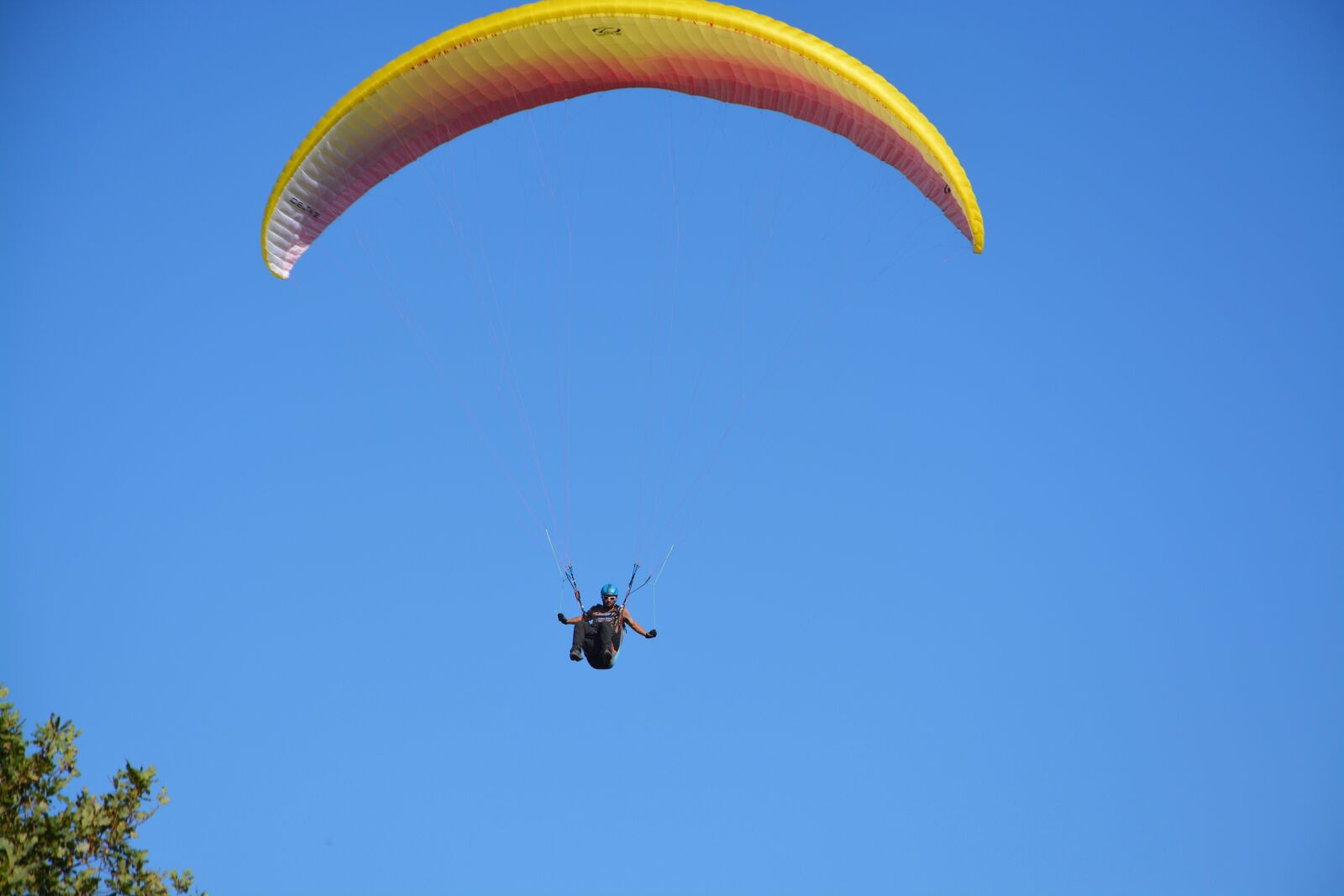 Nikon D5200 sample photo. Paragliding, paraglider, aircraft photography