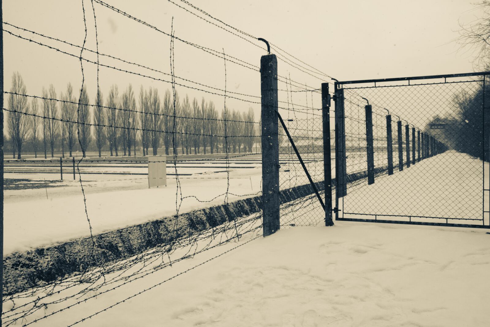 Nikon D5500 sample photo. Nazi, concentration camp, holocaust photography