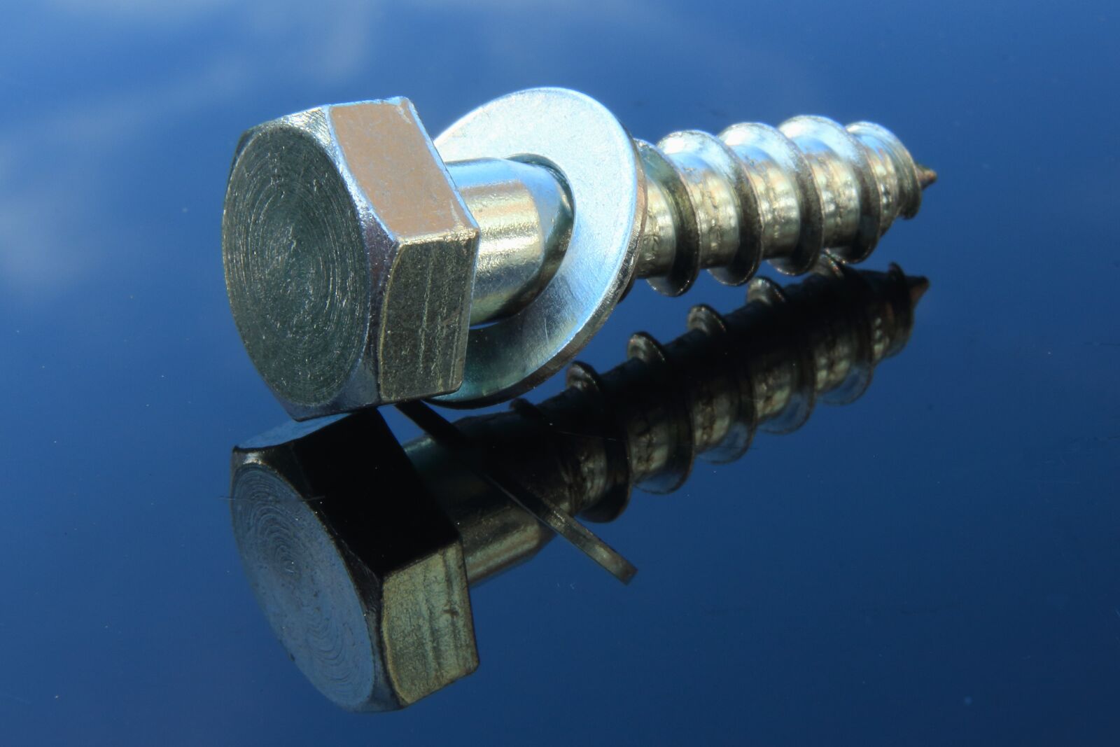 Canon EOS 700D (EOS Rebel T5i / EOS Kiss X7i) sample photo. Screw, woodscrew, metal photography