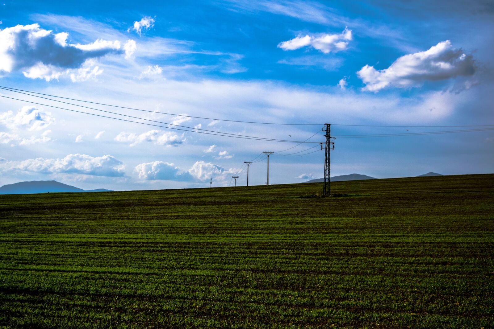 Nikon D3300 sample photo. Field, columns, electrics photography