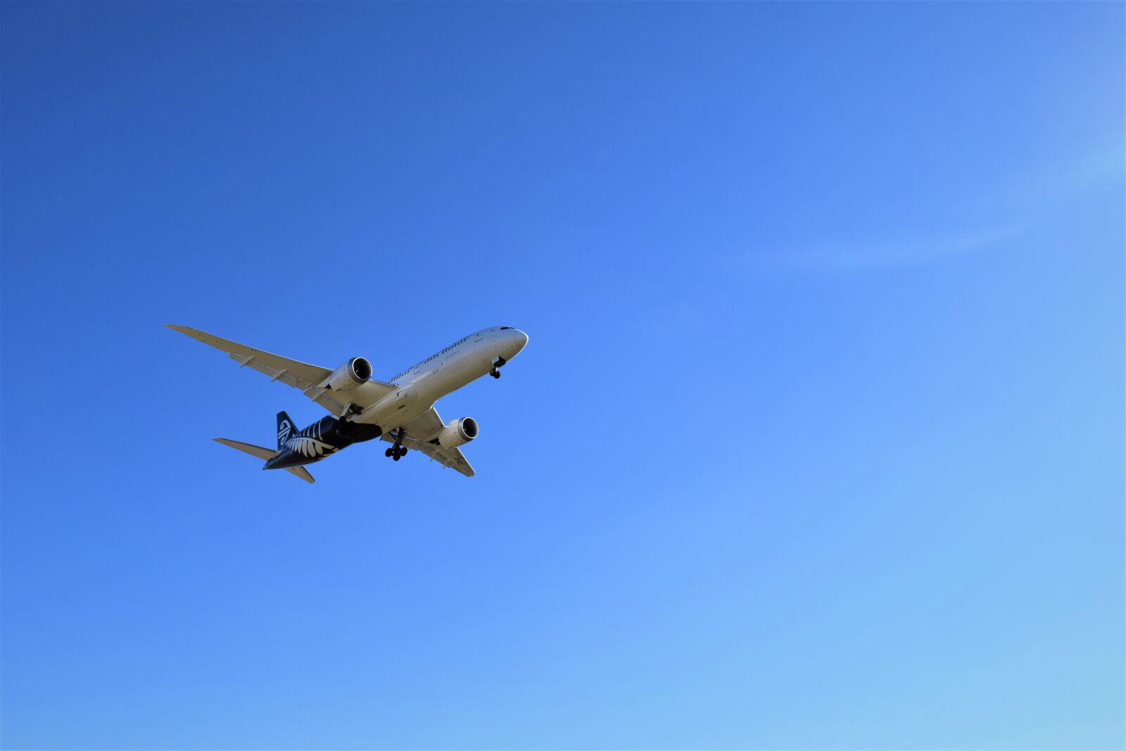 Nikon D3300 sample photo. Aeroplane photography