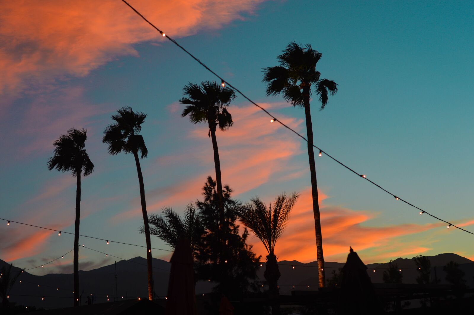 Nikon D3200 sample photo. Palmsprings, palmtrees, sunset photography