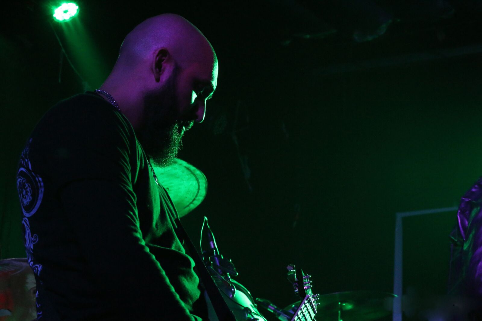Canon EOS 70D sample photo. Guitarist, artist, music photography