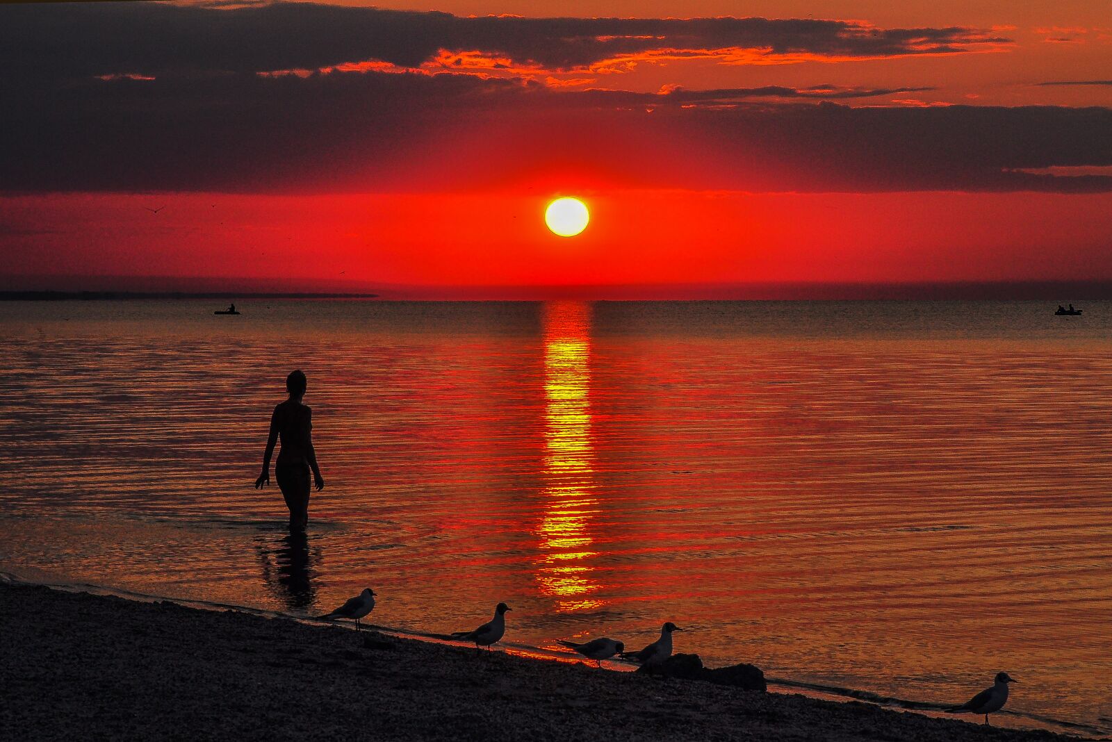 Nikon D90 sample photo. Bather, sunset, boats photography