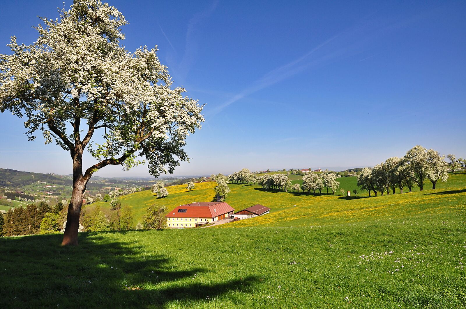 Nikon D90 sample photo. Nature, landscape, blue sky photography