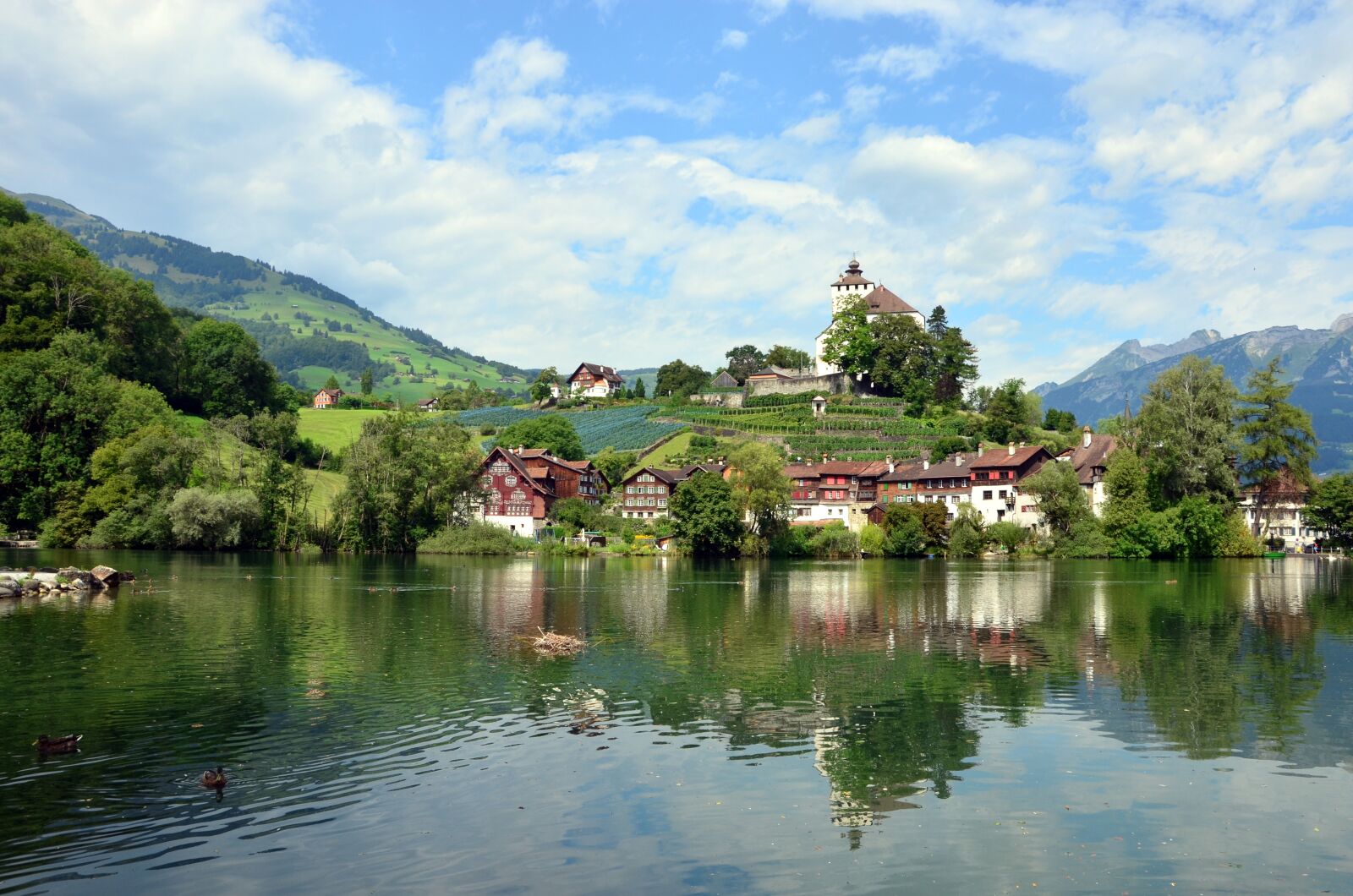 Nikon D5100 sample photo. Water, lake, city photography