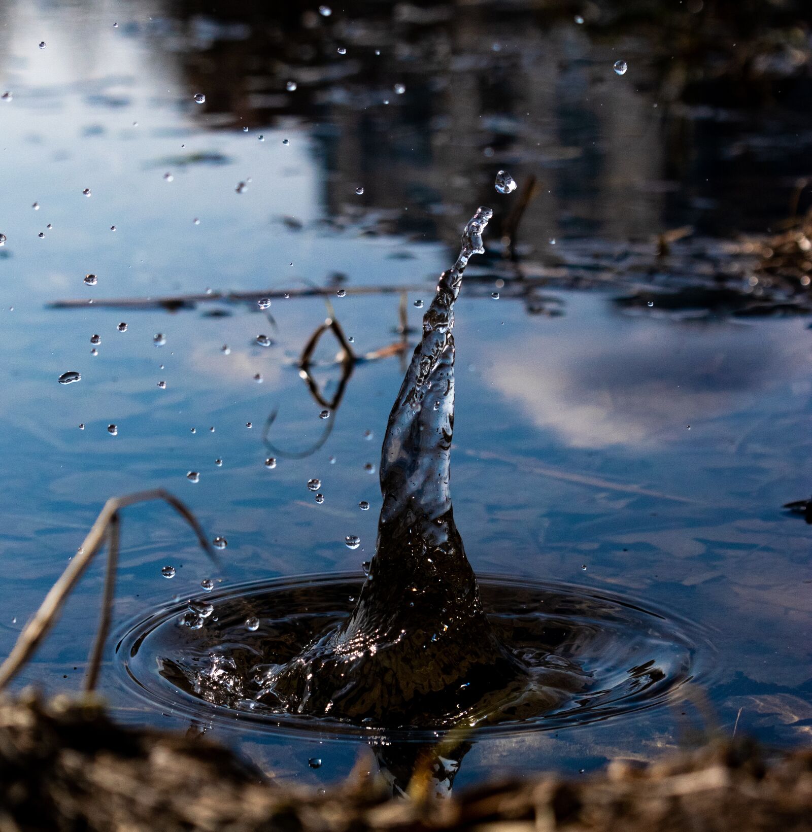 Canon EOS 77D (EOS 9000D / EOS 770D) sample photo. Water, drop, drip photography