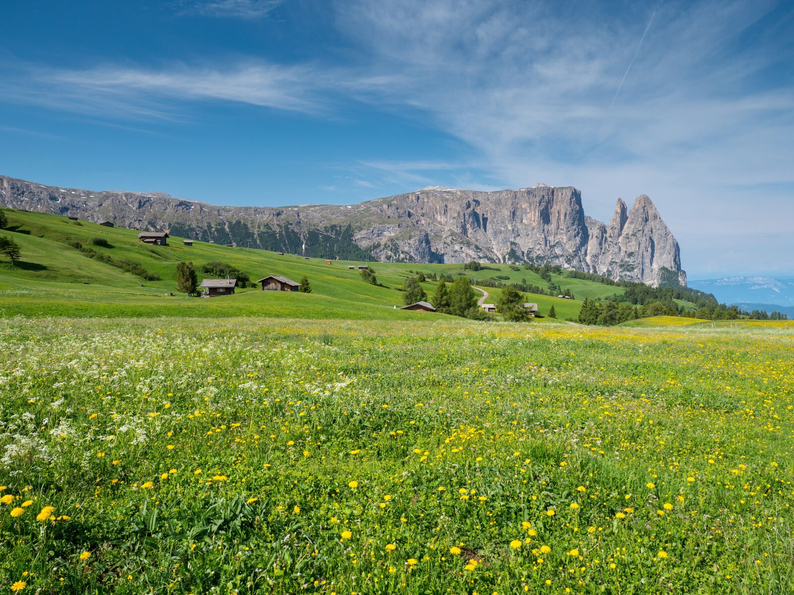 Panasonic Lumix DC-G9 sample photo. Alpine meadow, mountains, schlern photography