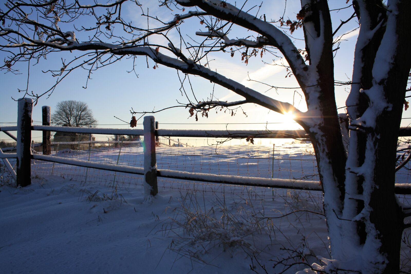 Canon EOS 1000D (EOS Digital Rebel XS / EOS Kiss F) sample photo. Snow, wintry, nature photography