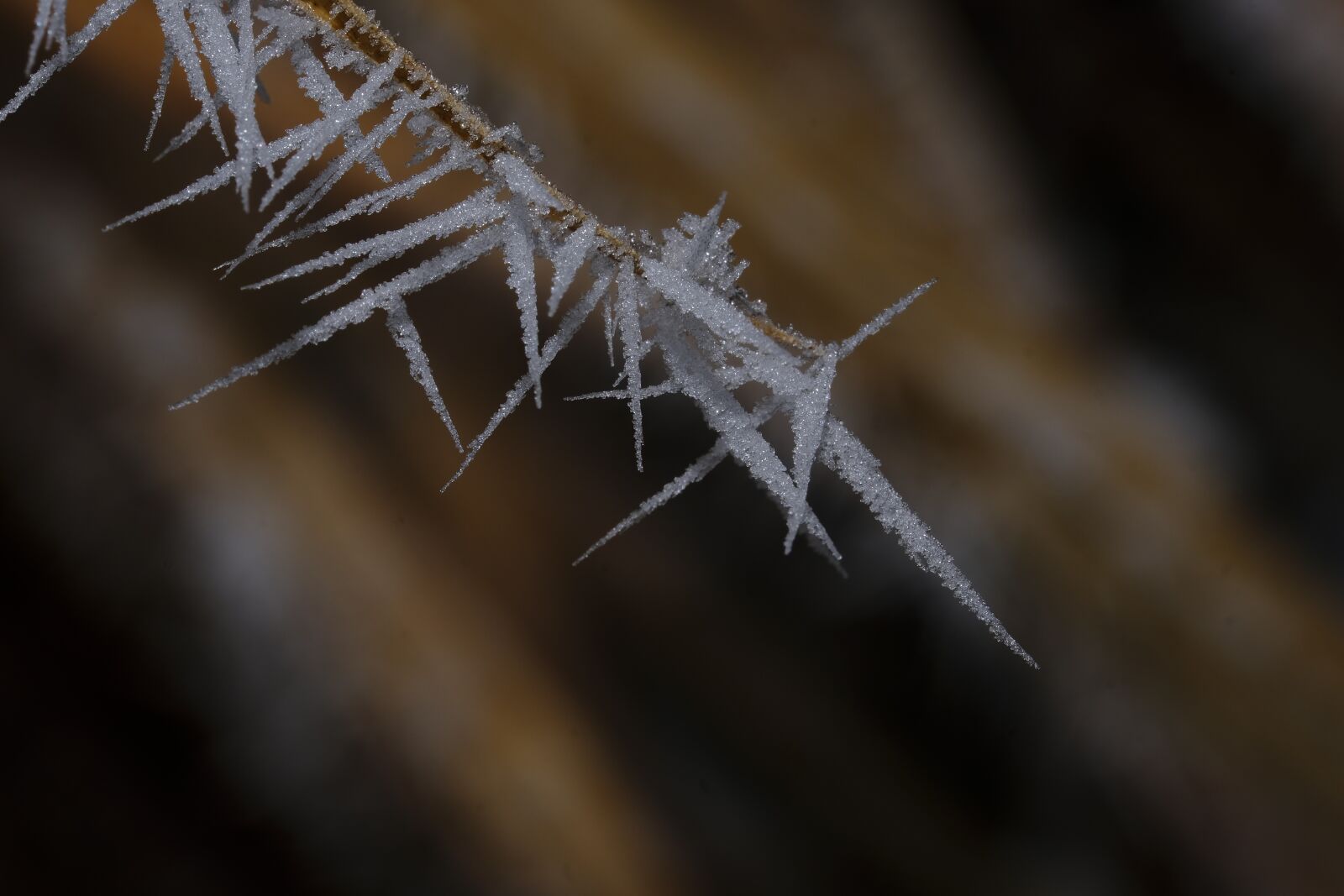 Fujifilm X-T2 + Fujifilm XF 80mm F2.8 R LM OIS WR Macro sample photo. Frost, frozen, ice photography
