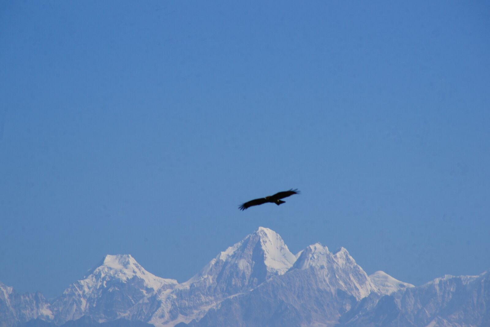 Sony Alpha DSLR-A850 sample photo. Himalaya, nepal, nature photography