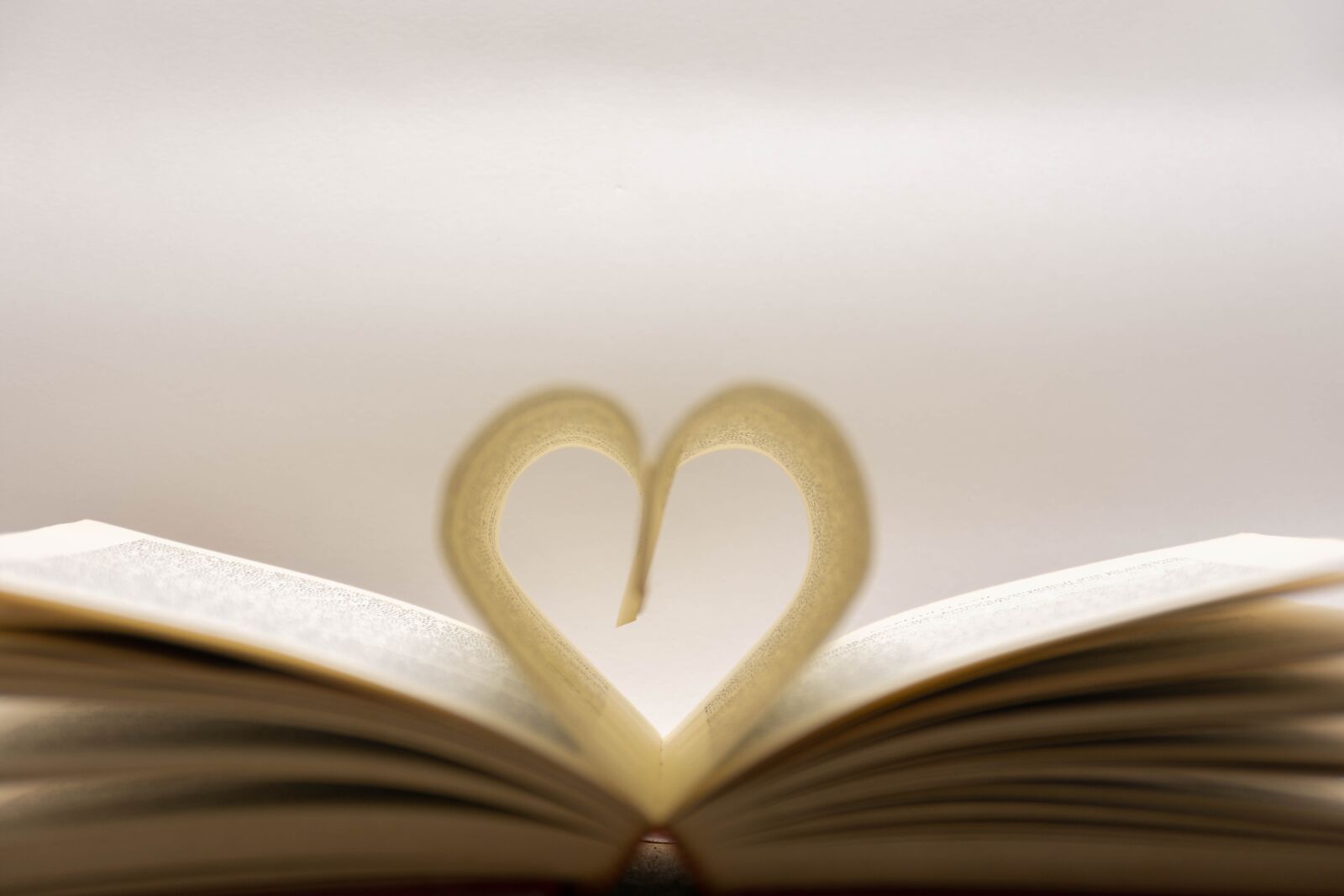 Nikon D7200 sample photo. Book, love, heart photography