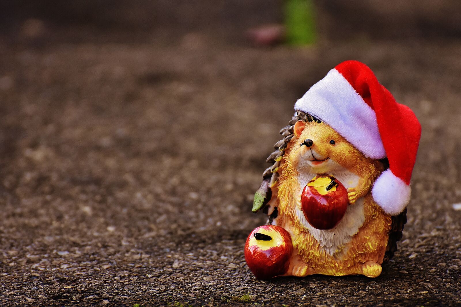 Nikon D7200 sample photo. Hedgehog, figure, christmas photography