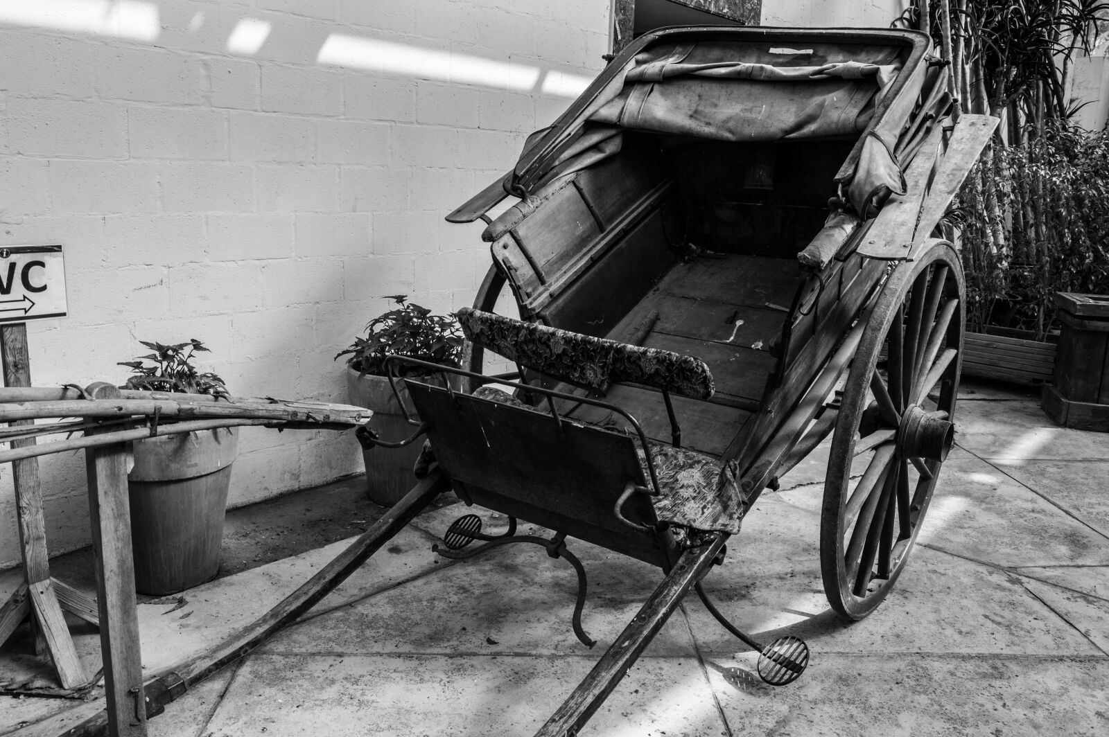 Nikon D3200 sample photo. Shopping, cart, in, kitchen photography