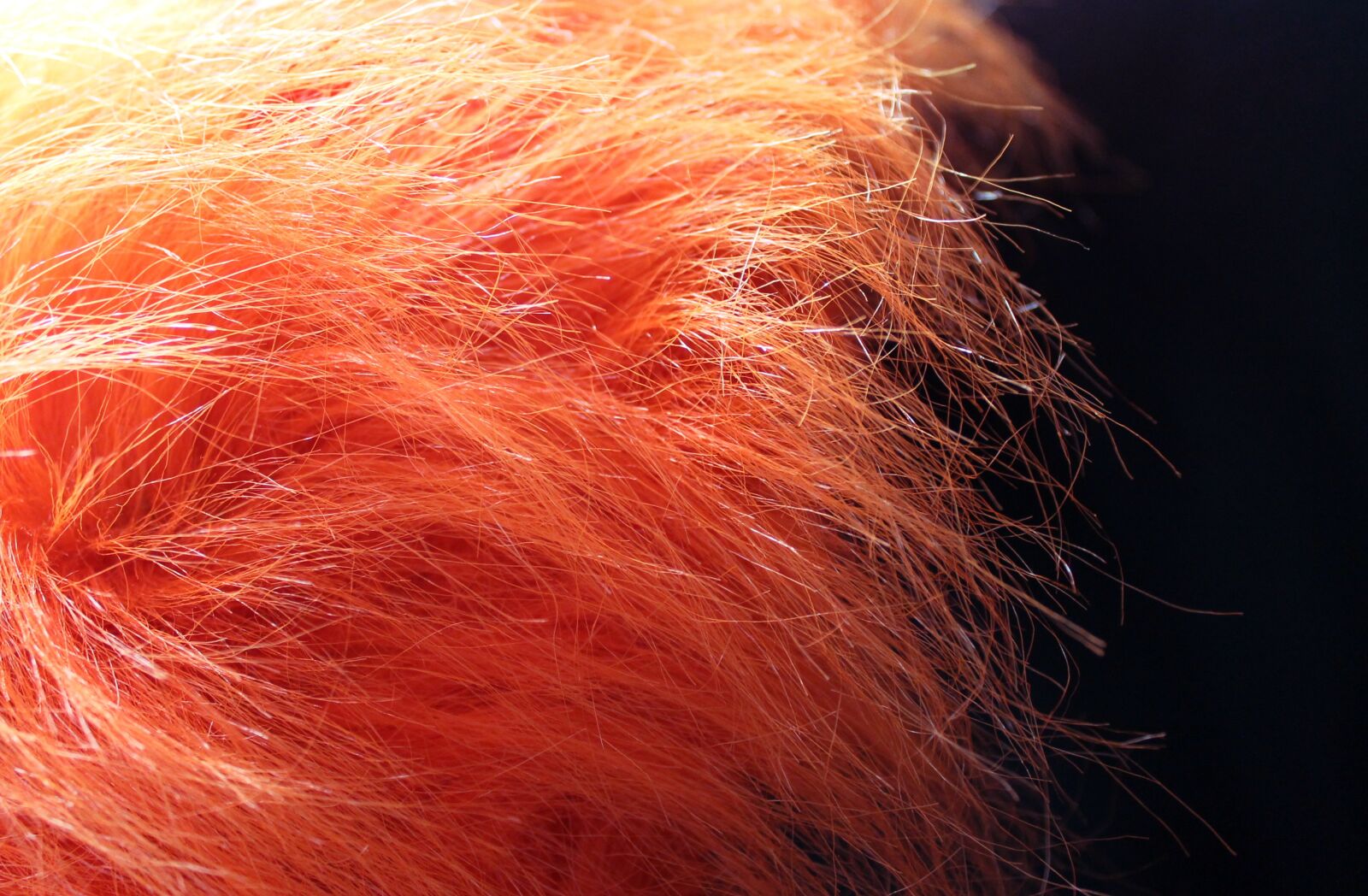 Canon EOS 1100D (EOS Rebel T3 / EOS Kiss X50) sample photo. Fur, hair, hairy photography
