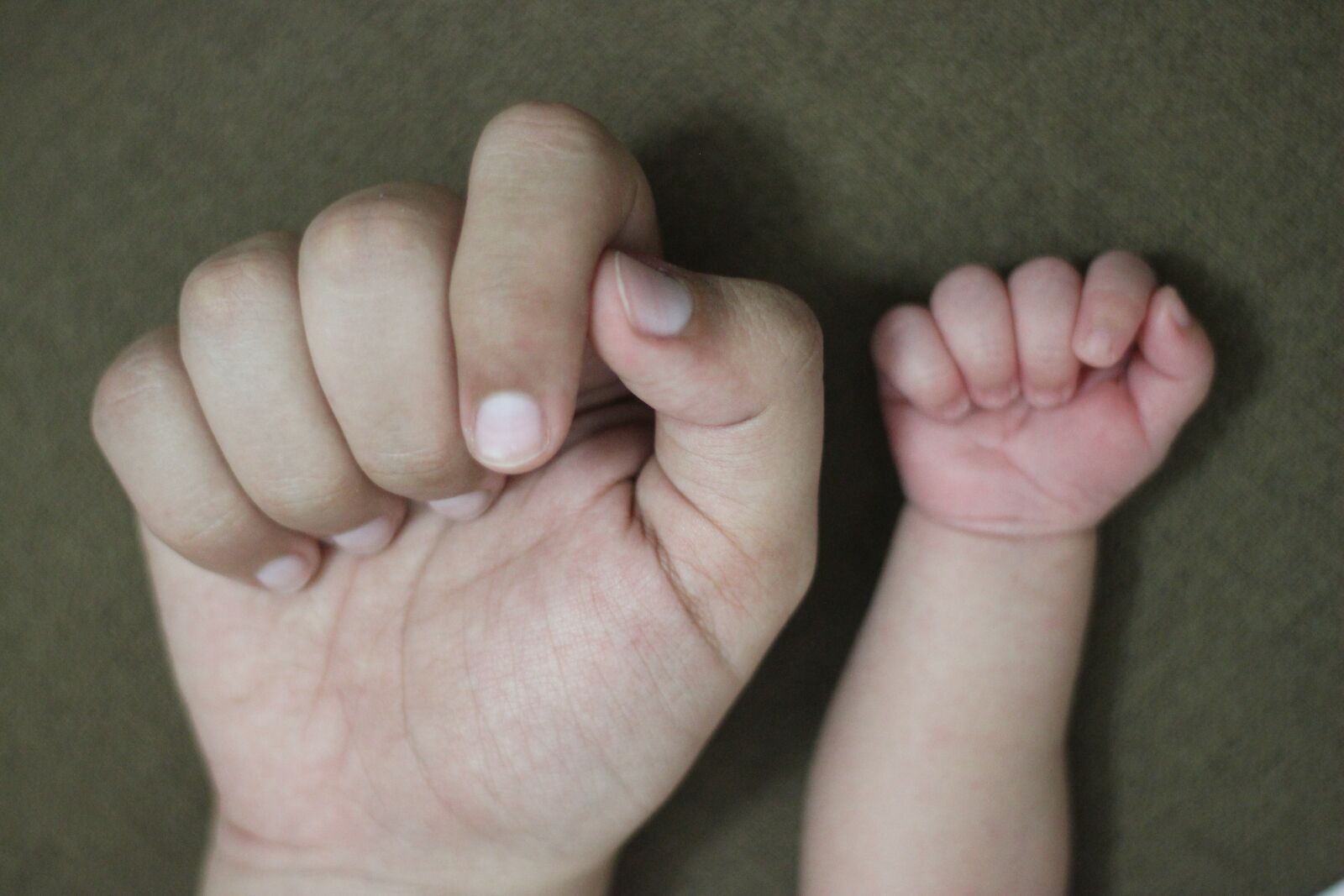 Canon EOS 600D (Rebel EOS T3i / EOS Kiss X5) + Canon EF 50mm F1.8 II sample photo. Hand, people, human photography