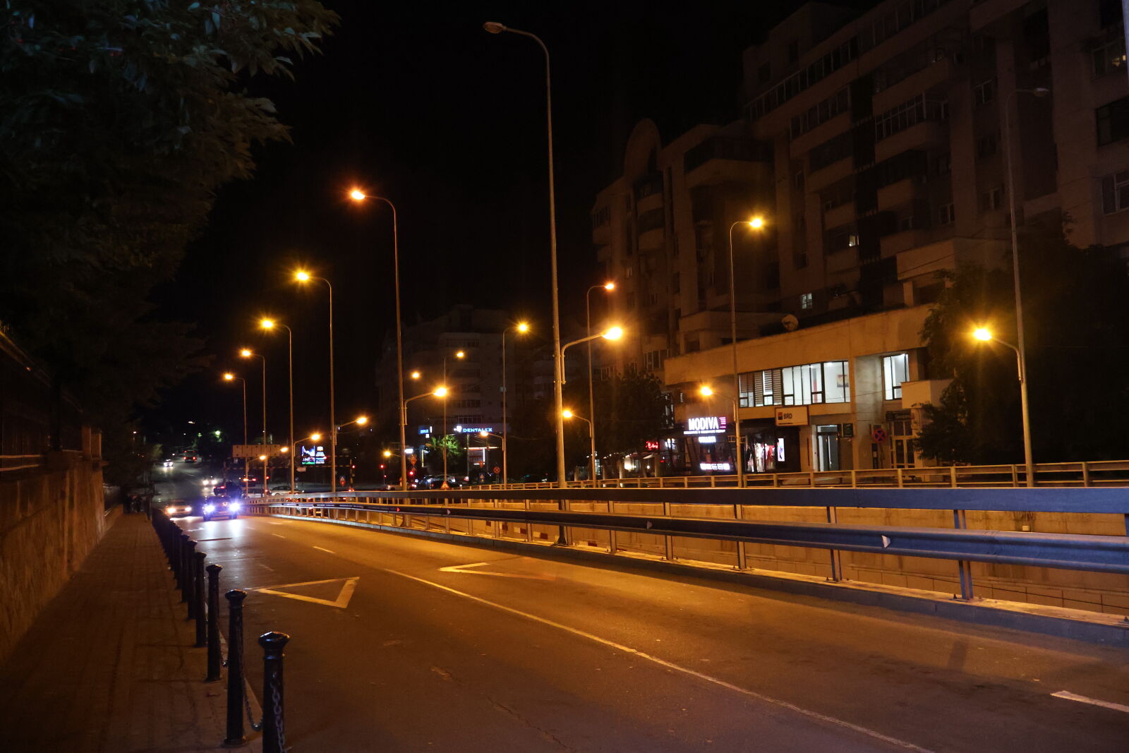 Canon EOS R50 sample photo