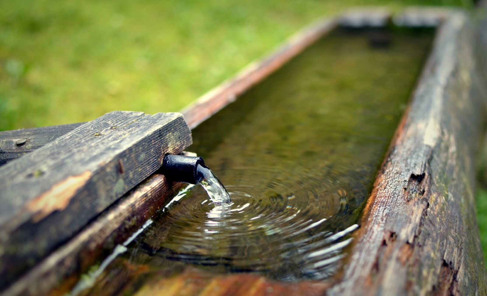 Nikon D7000 sample photo. Water, source, desire photography