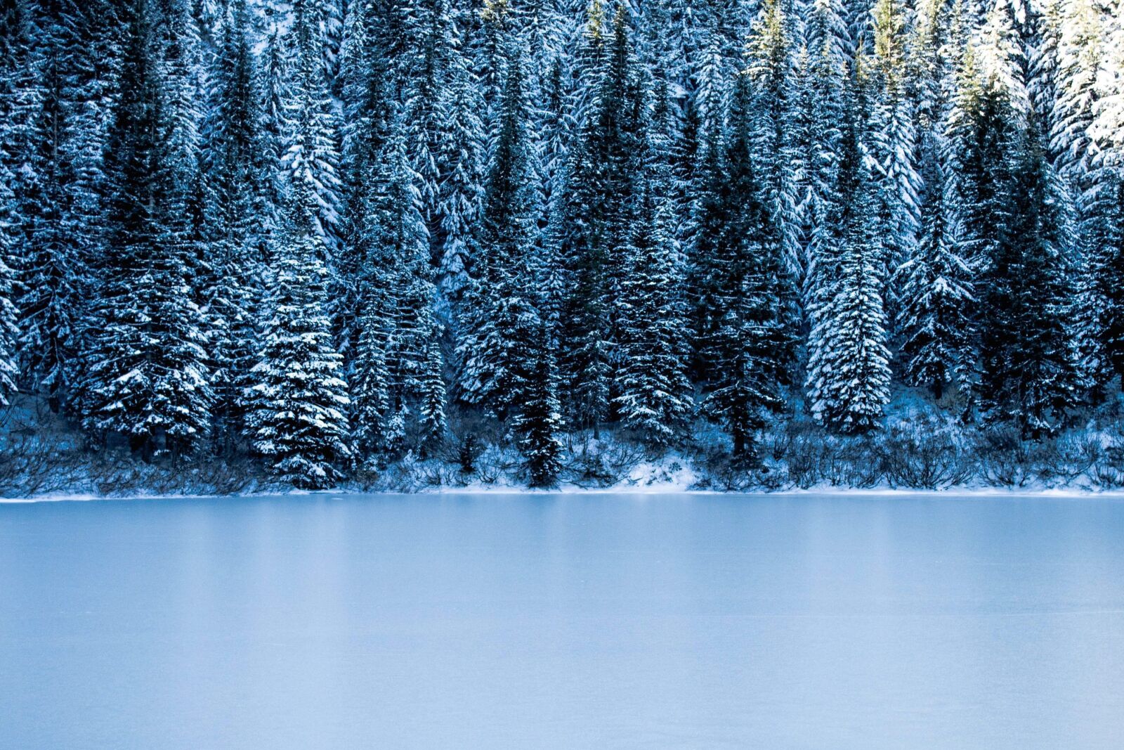 Nikon D5200 sample photo. Frost, forest, winter, snow photography
