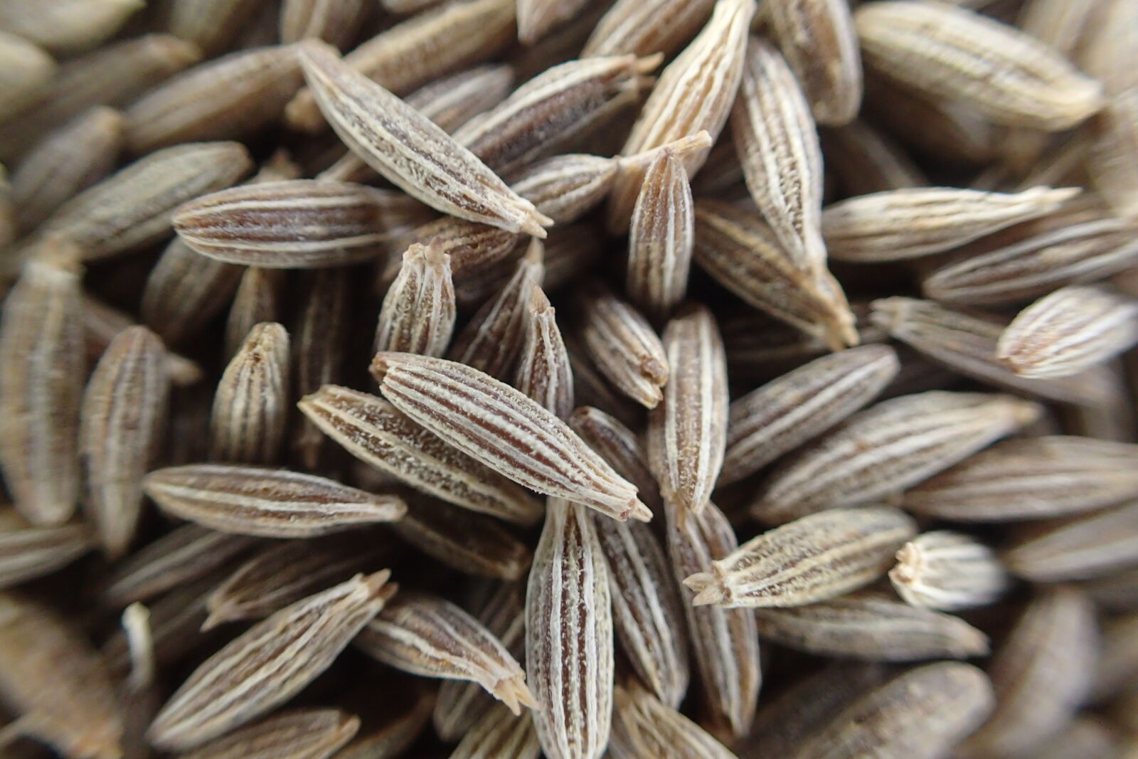 Olympus TG-4 sample photo. Cumin, cumin, seeds, seeds photography