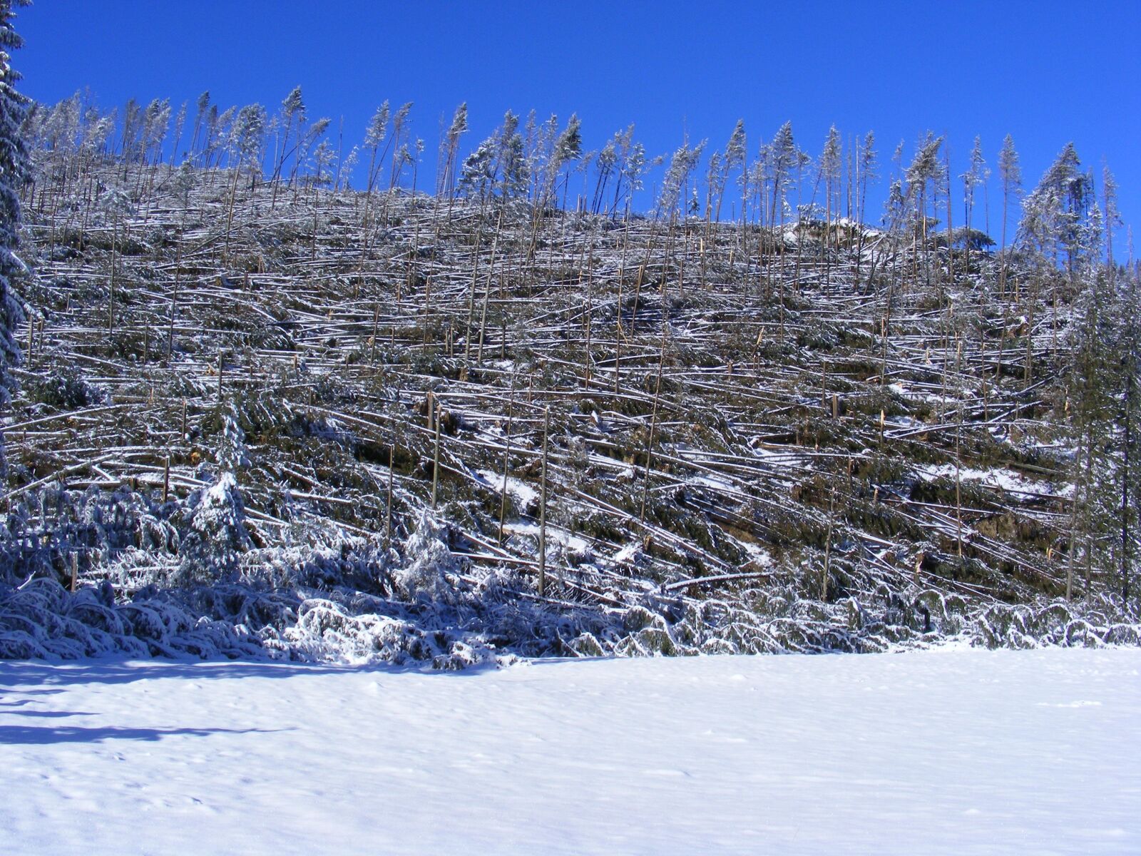 Fujifilm FinePix S5800 S800 sample photo. Winter, tatry, poland photography