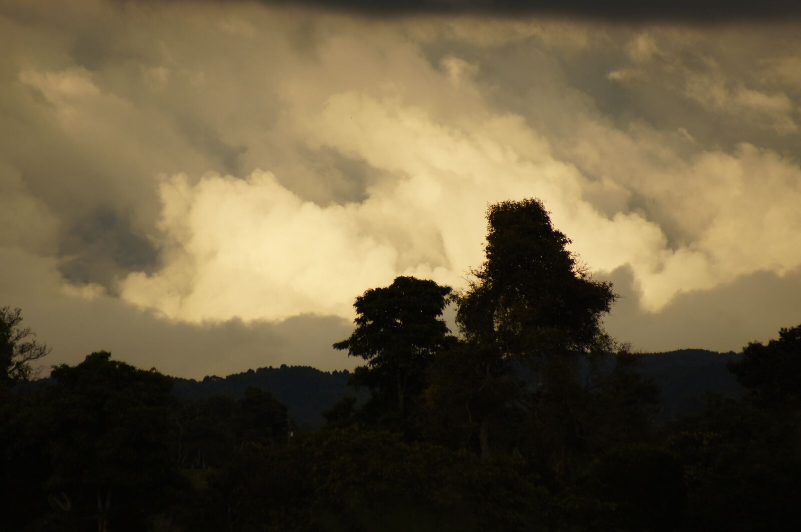 Sony SLT-A55 (SLT-A55V) sample photo. Sunsets, landscapes, quindio photography