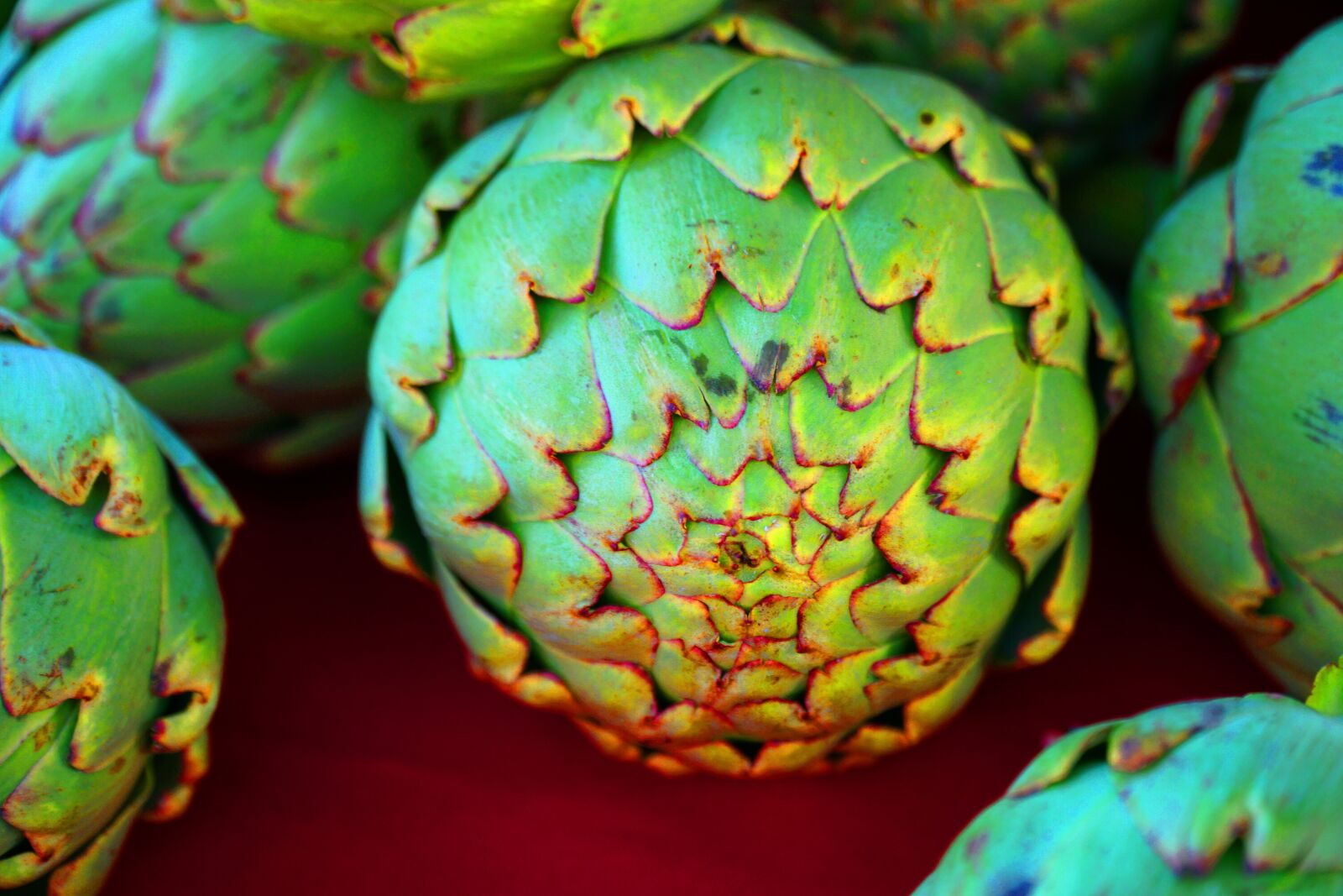 Sony a6300 + Sony E PZ 18-105mm F4 G OSS sample photo. Artichoke, green, food photography
