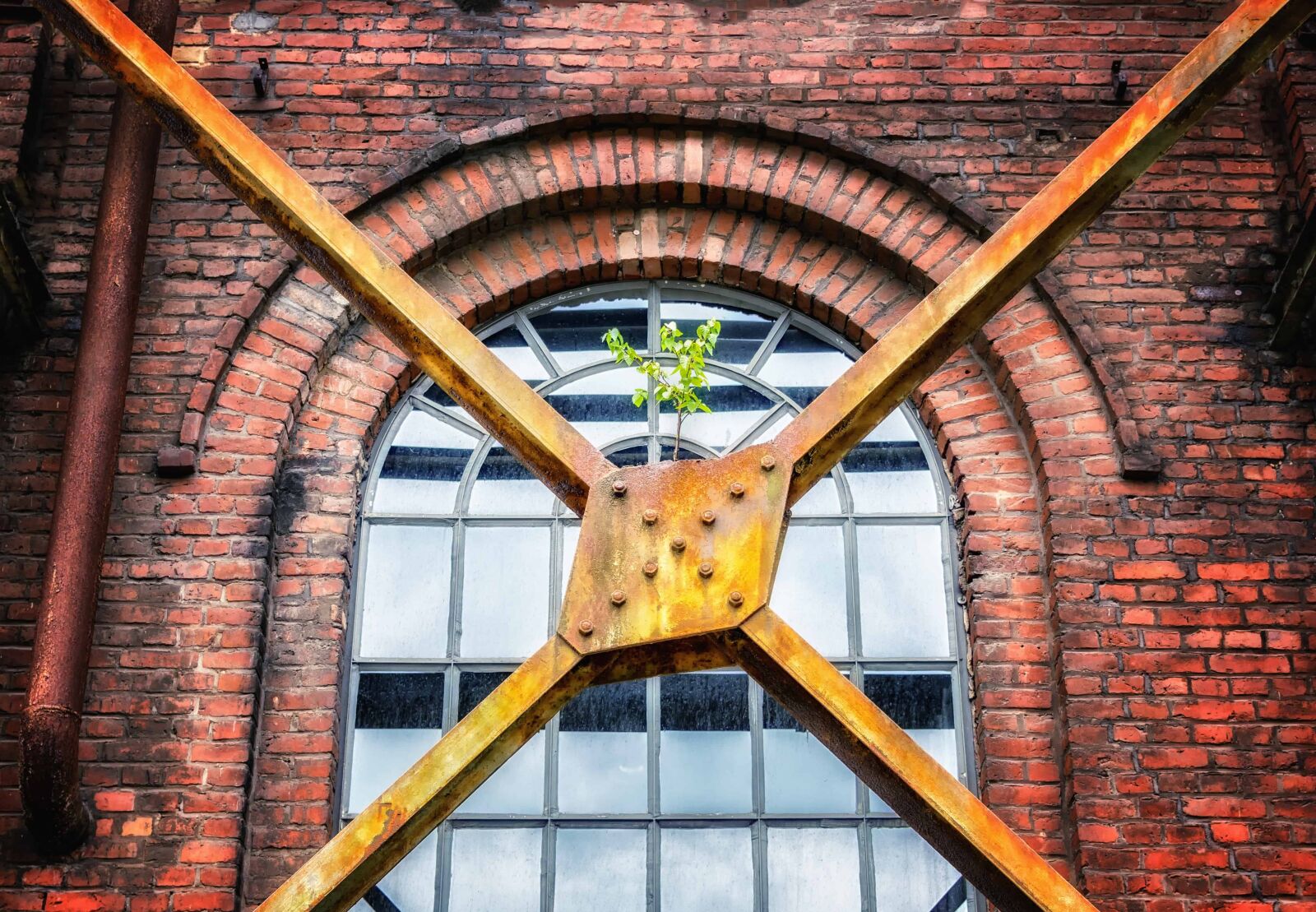 Nikon D3300 sample photo. Plant, metal, window, brick photography