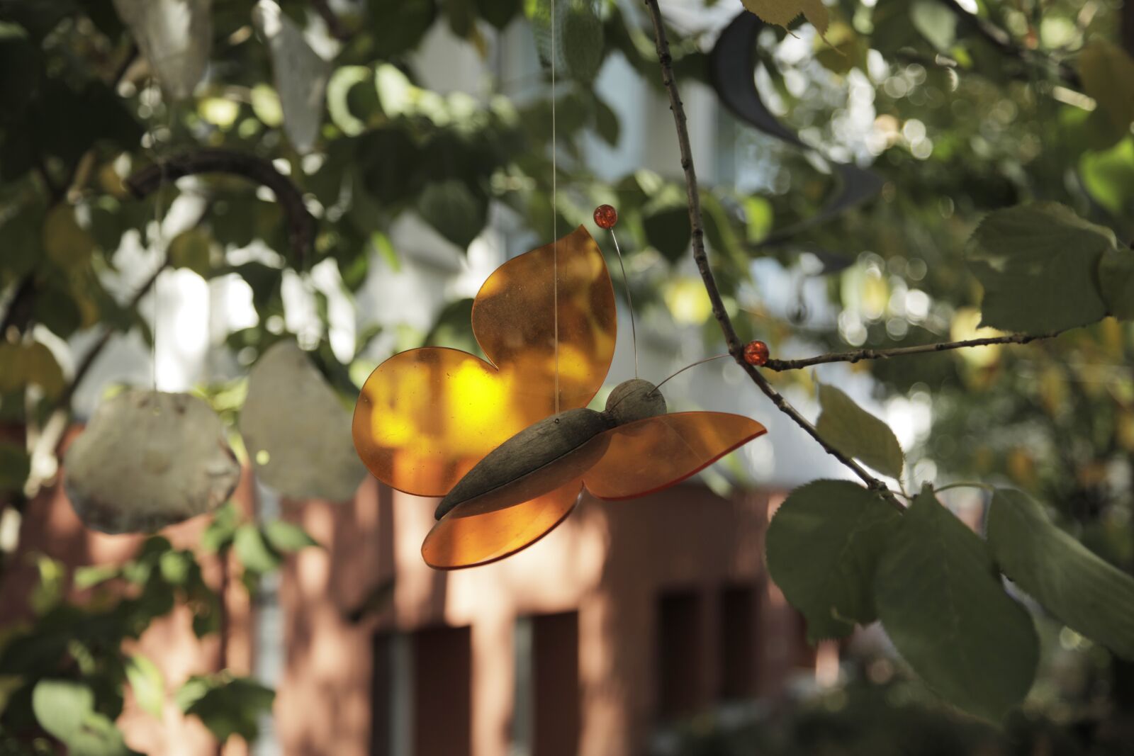 Canon EOS 5D Mark IV sample photo. Garden, butterfly, toys photography