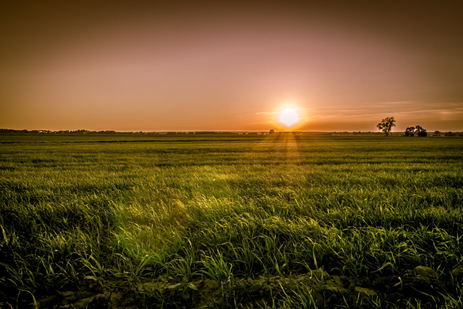 Pentax K-S2 + Sigma 17-50mm F2.8 EX DC HSM sample photo. Sunset over the fields photography