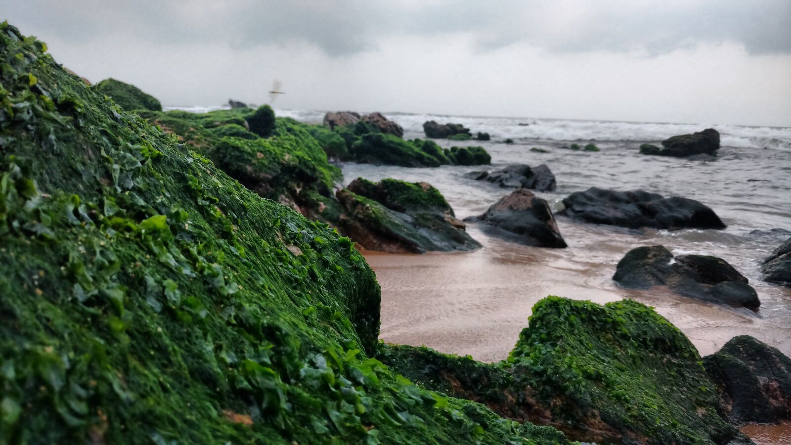 Motorola Moto X Play sample photo. Beach, stones, green photography