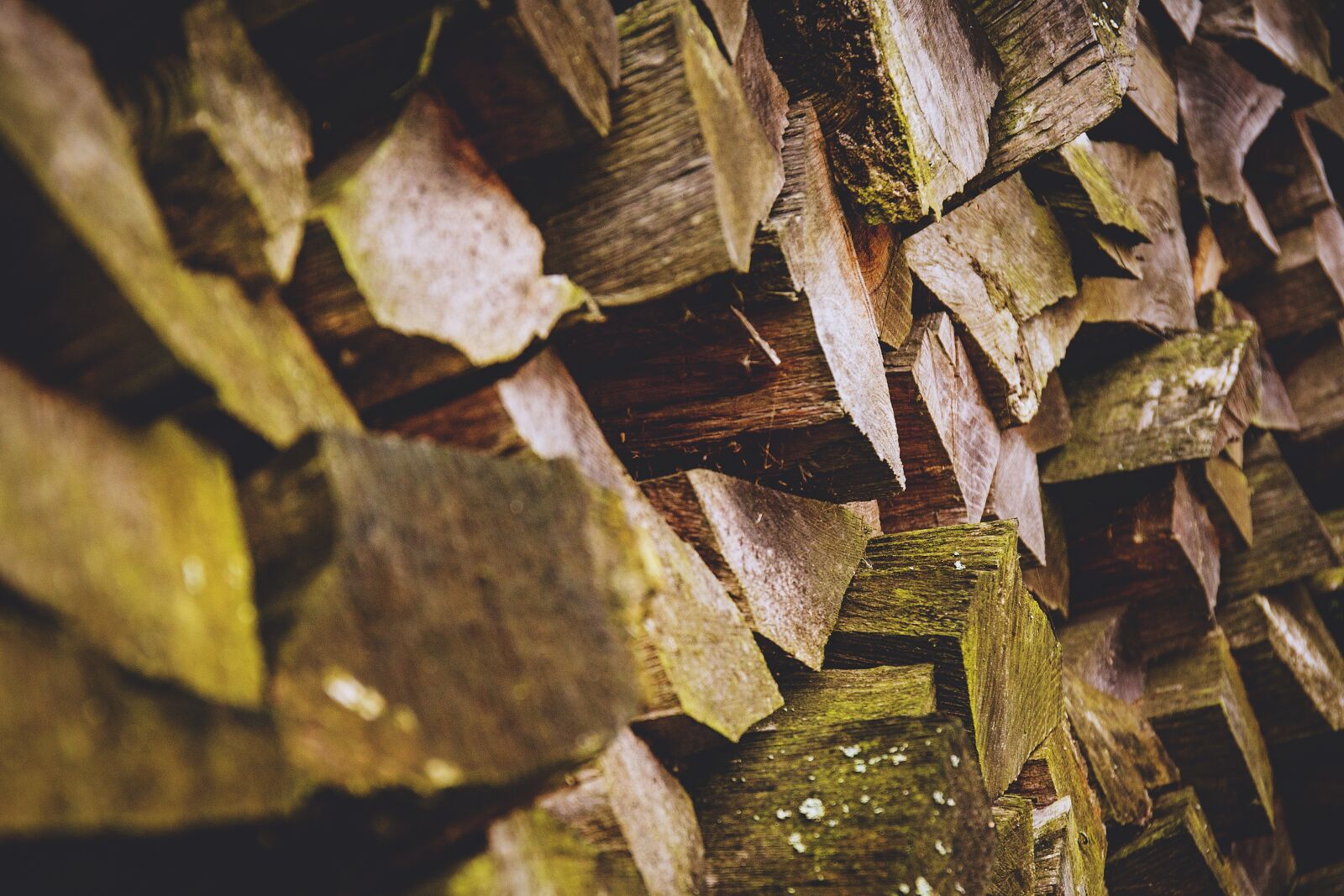 Canon EF 24-70mm F4L IS USM sample photo. Nature, closeup, fuel photography