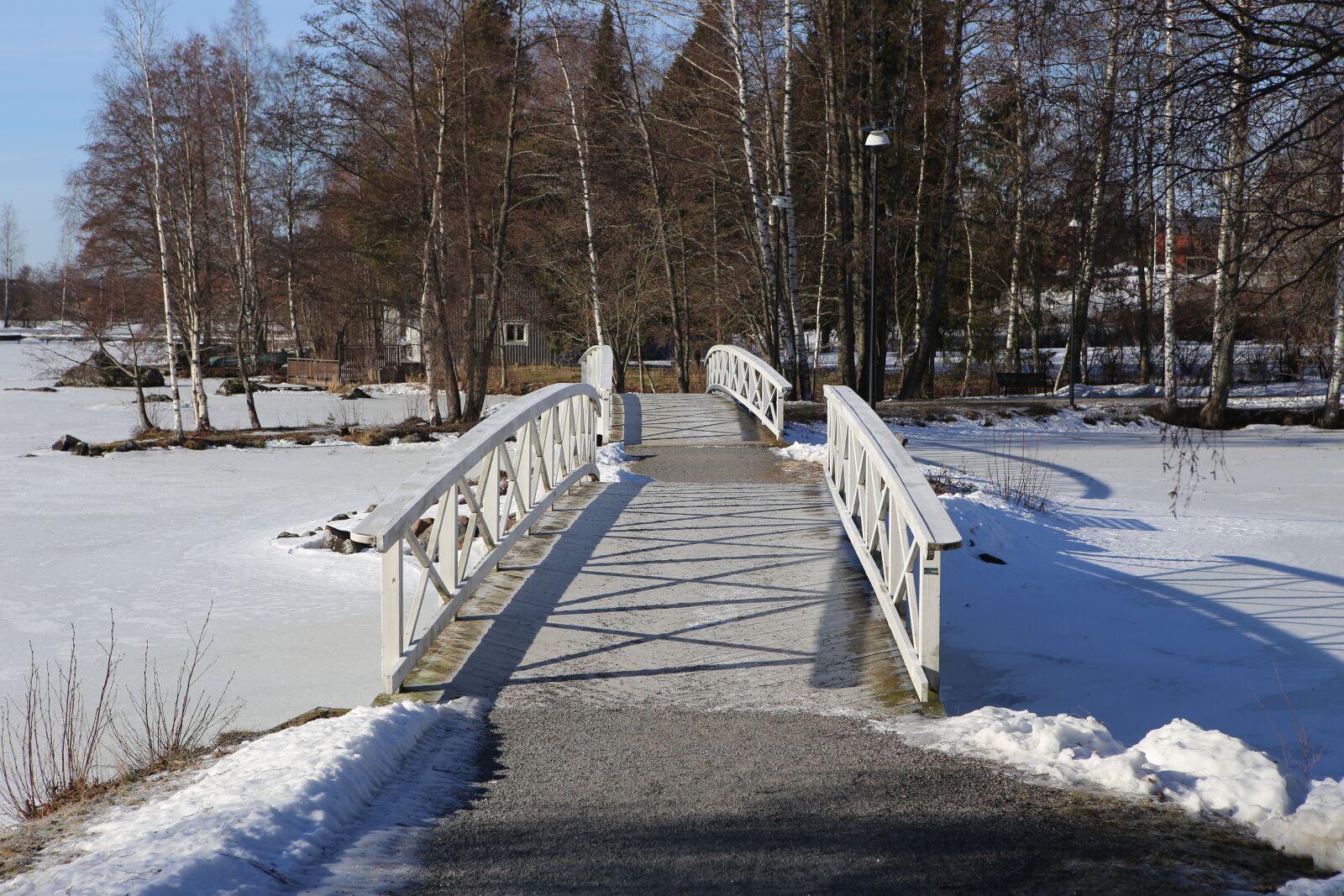 Canon EOS 6D + Canon EF 24-70mm F2.8L USM sample photo. Winter, snow, landscape photography