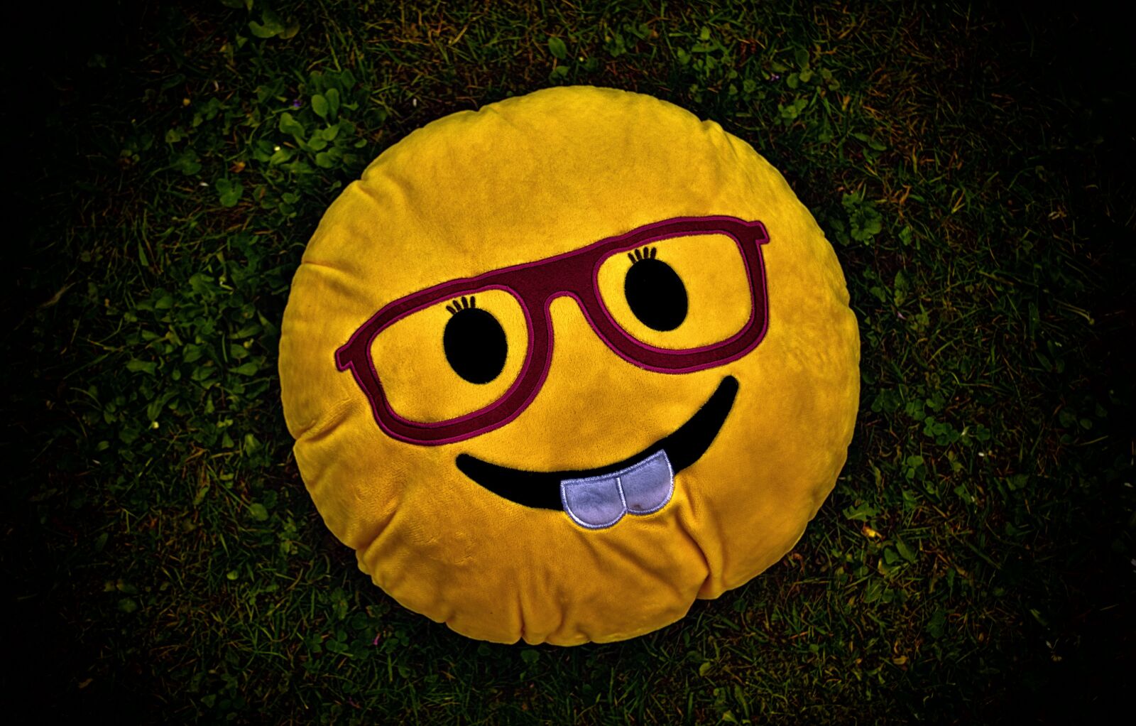 Nikon D7200 sample photo. Smiley, funny, cheerful photography