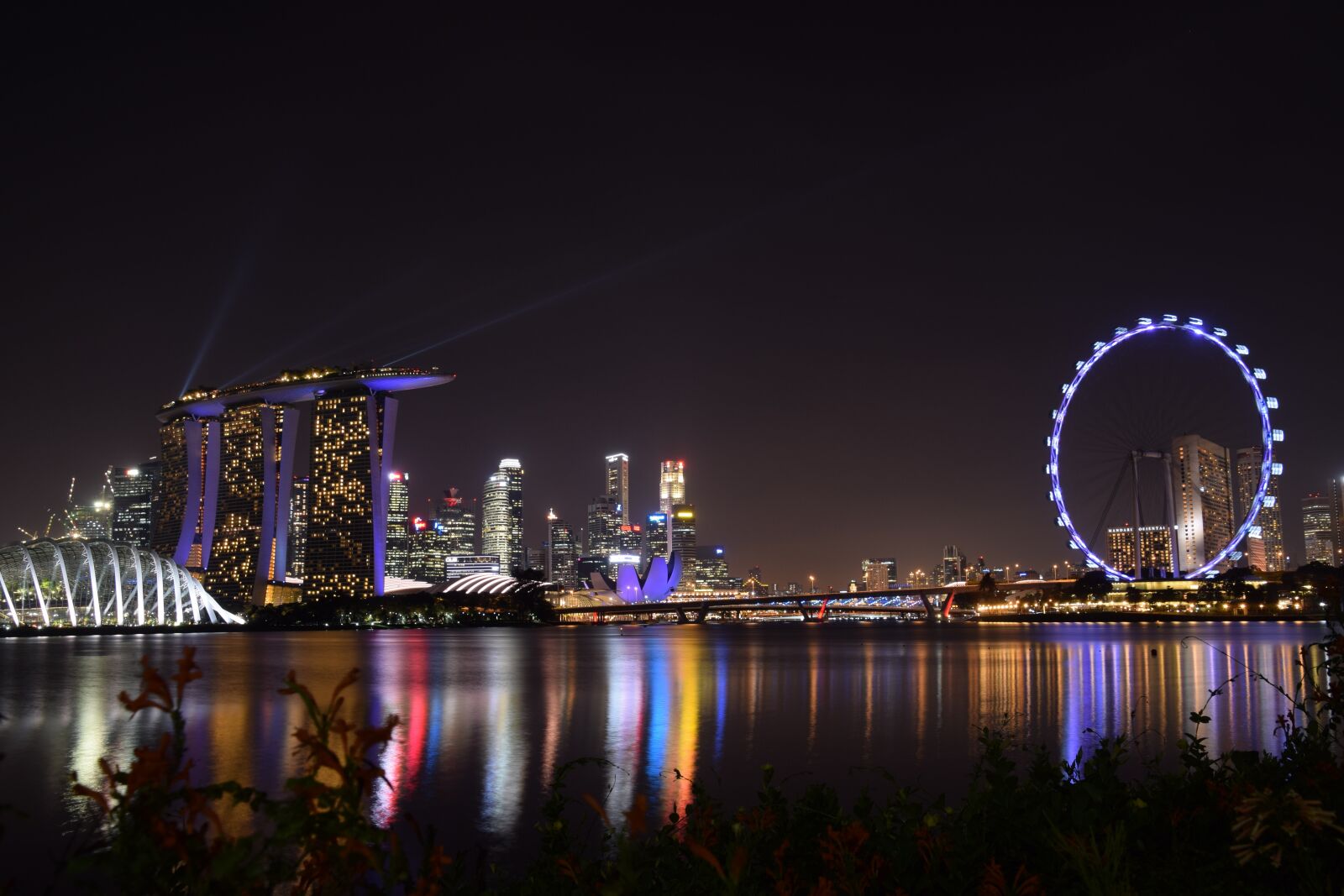 Nikon D5300 sample photo. Marina bay, garden by photography