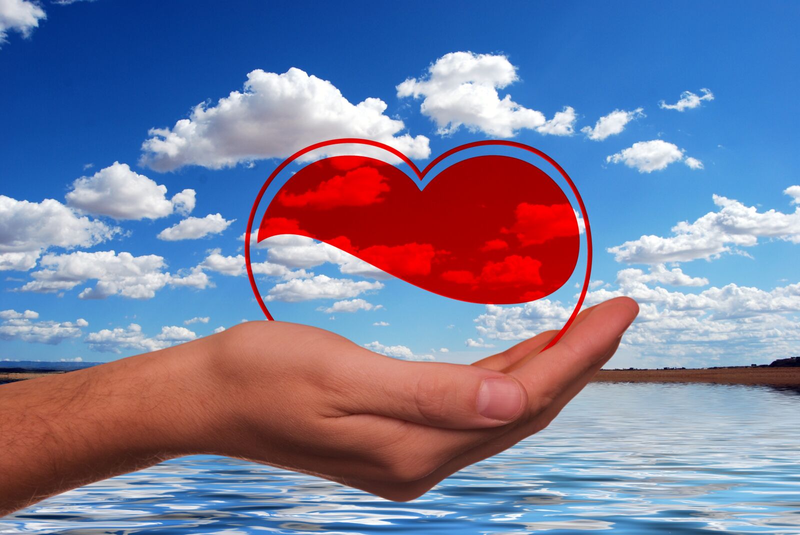 Nikon D60 sample photo. Heart, hand, keep photography