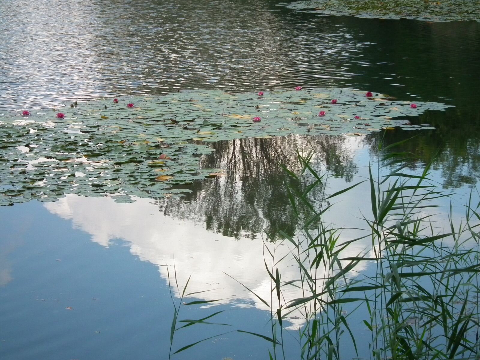 FujiFilm FinePix HS10 (FinePix HS11) sample photo. Lake, sky, mirroring photography