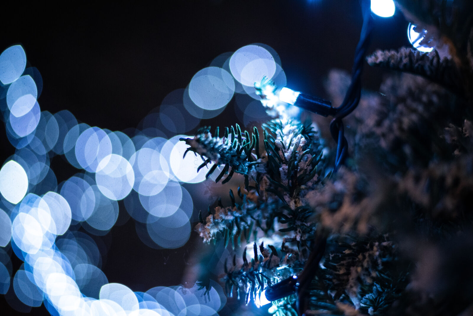 Nikon D750 + Nikon AF-S Nikkor 50mm F1.8G sample photo