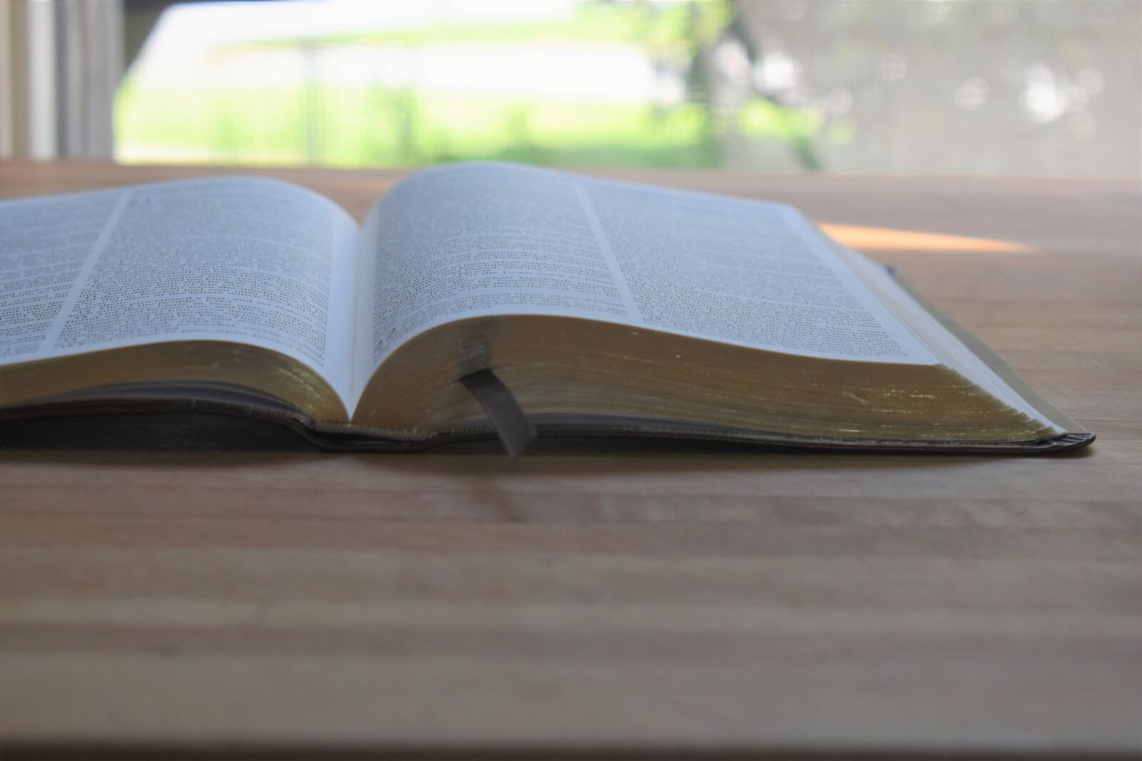 Nikon D5600 sample photo. Bible on wood, scripture photography