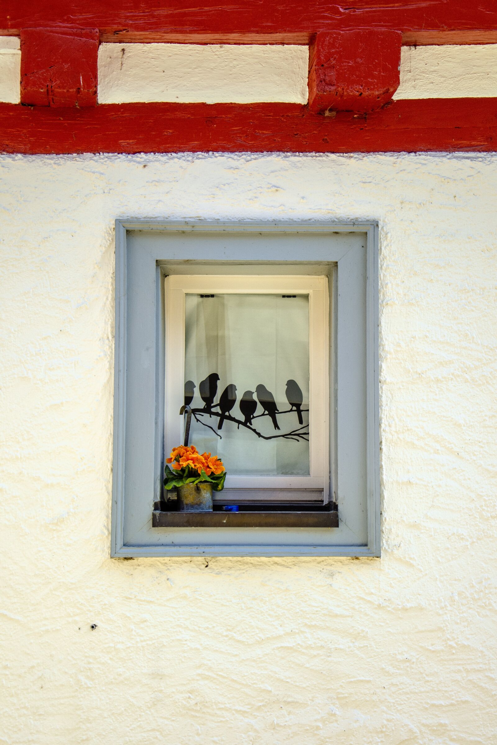Nikon D5100 sample photo. Window, curtain, city of photography