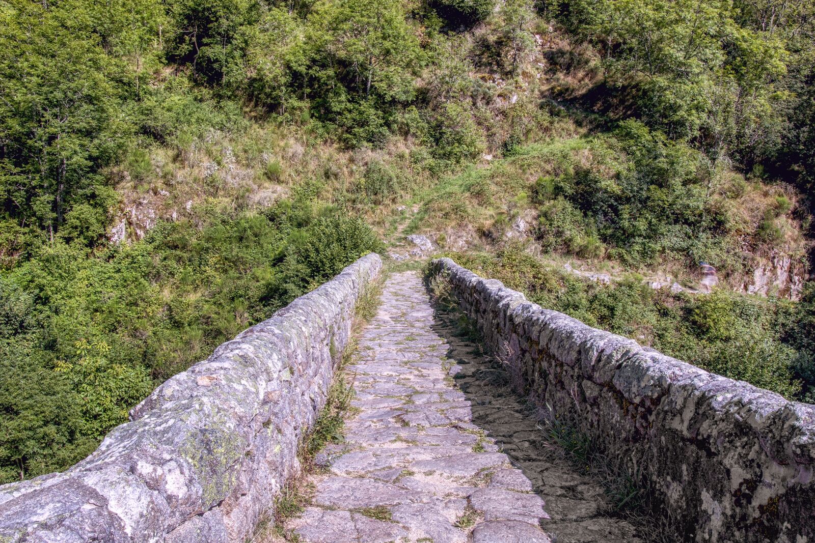 Canon EOS 70D sample photo. Bridge, devil, chalencon photography