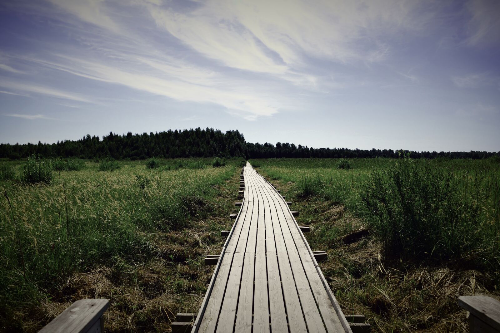 Panasonic Lumix DMC-FZ1000 sample photo. Away, path, boardwalk photography