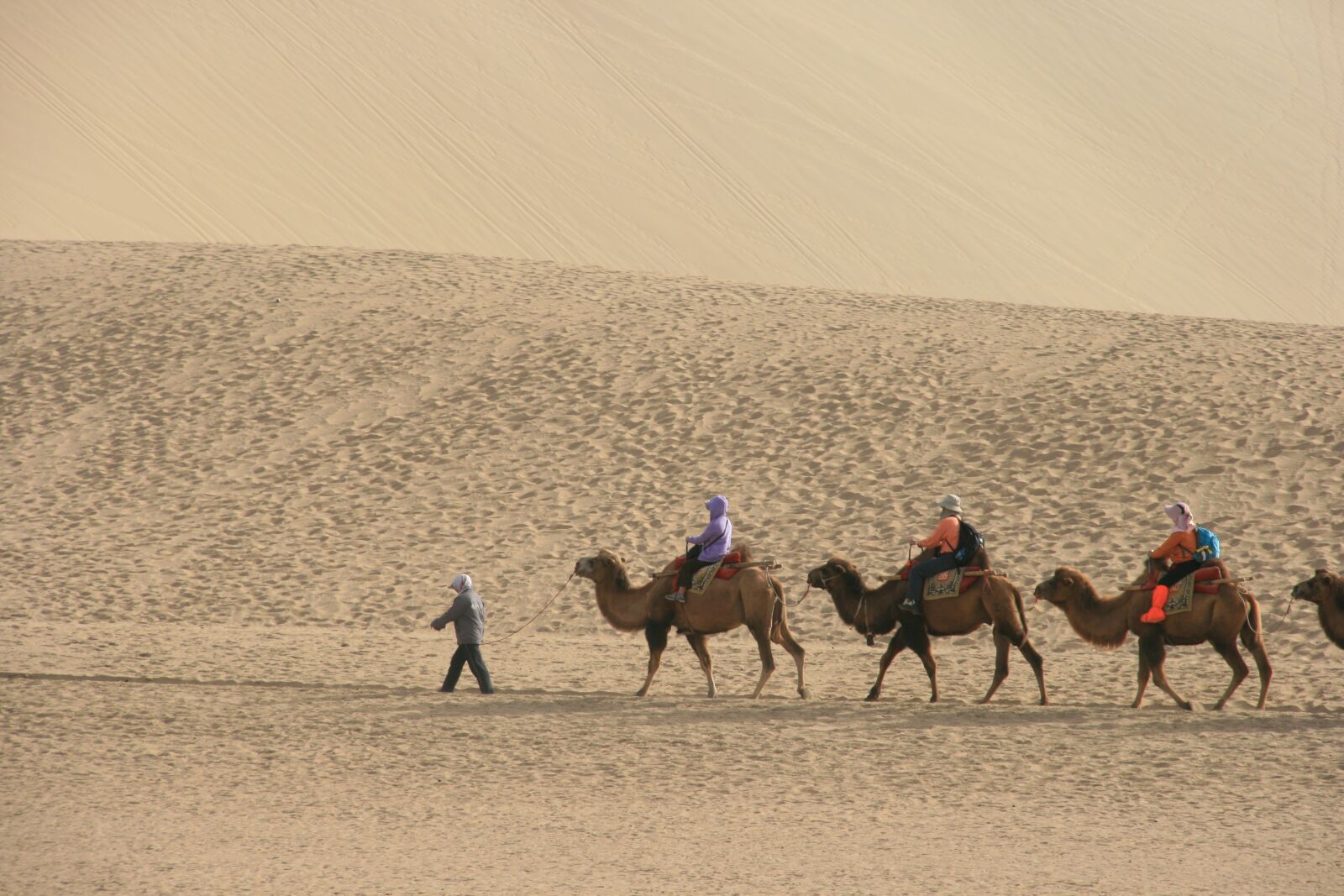 Canon EOS 400D (EOS Digital Rebel XTi / EOS Kiss Digital X) sample photo. Desert, camel, tourism photography
