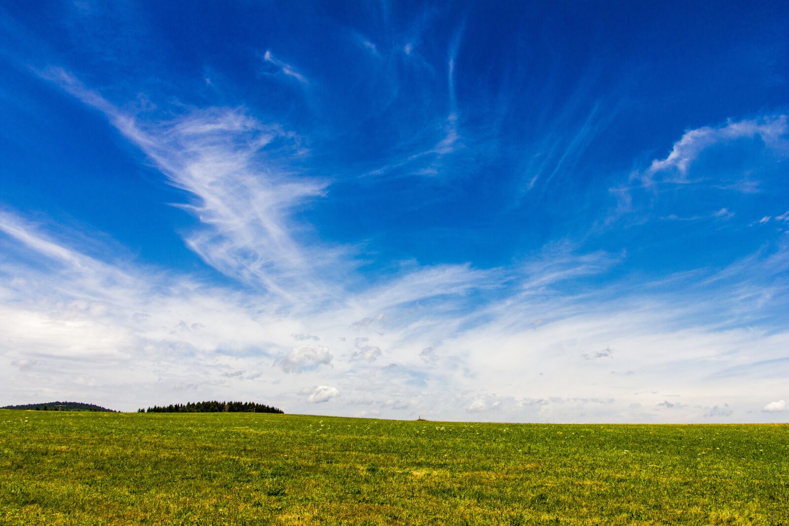 Canon EOS 550D (EOS Rebel T2i / EOS Kiss X4) sample photo. Summer sky, meadow, blue photography